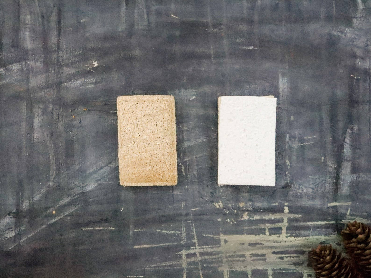 Eco Sponge🇨🇦