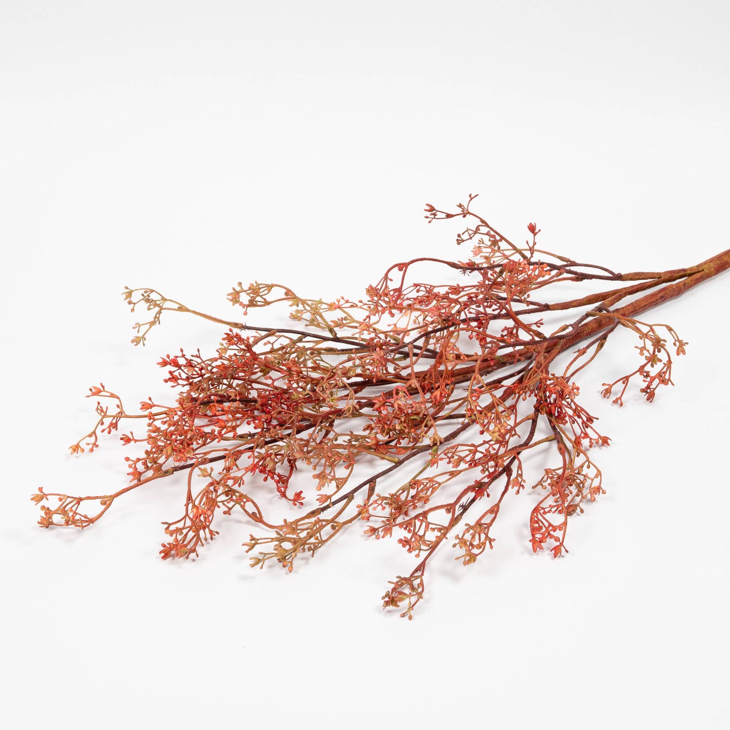 Rosa Caspia Stem - 35 Inch