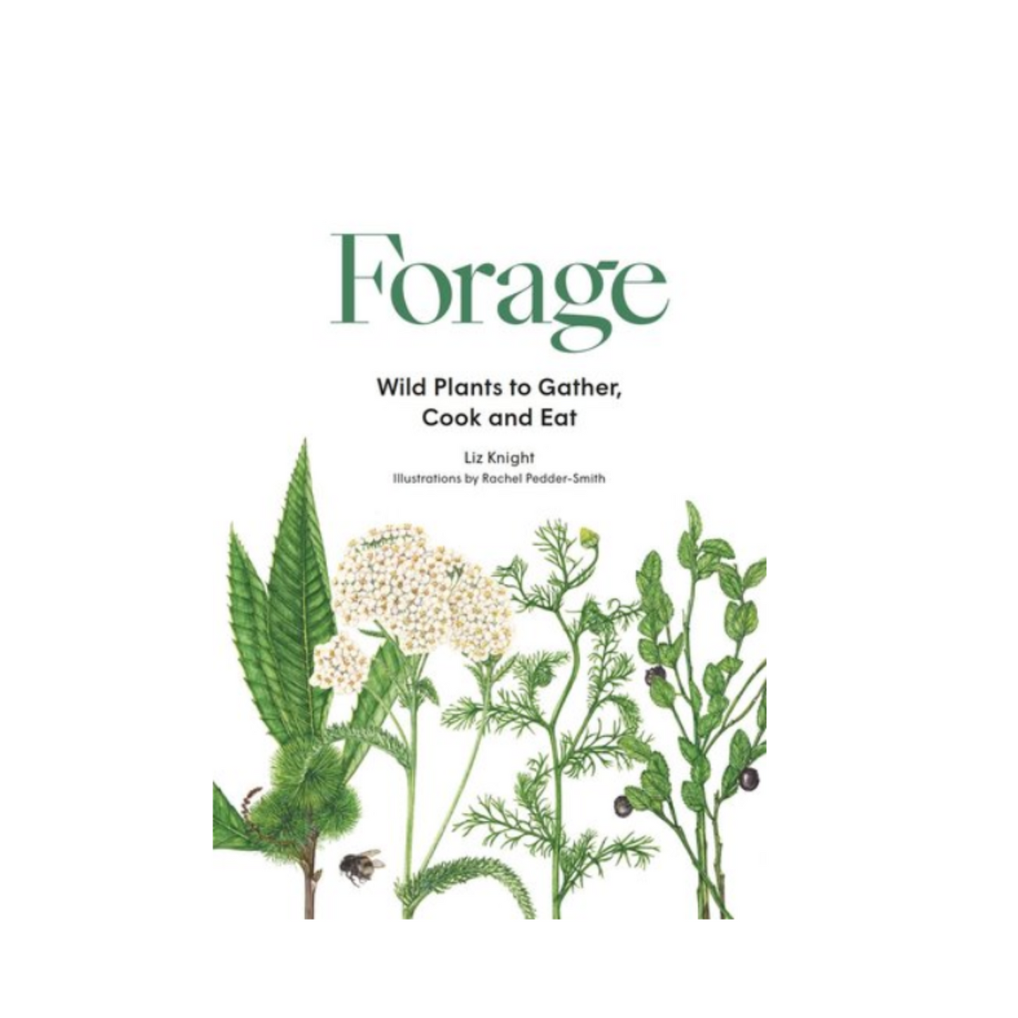 Forage