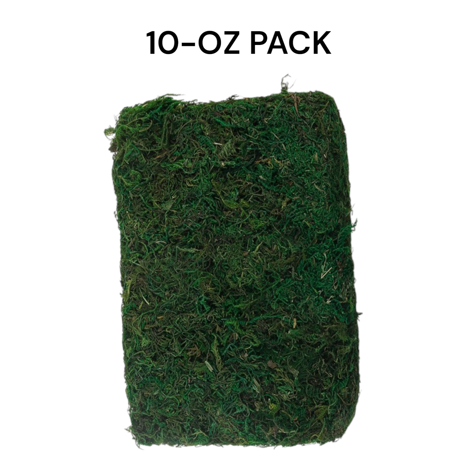 10oz or 1lb Bulk Pack-Naturally Preserved Green Moss