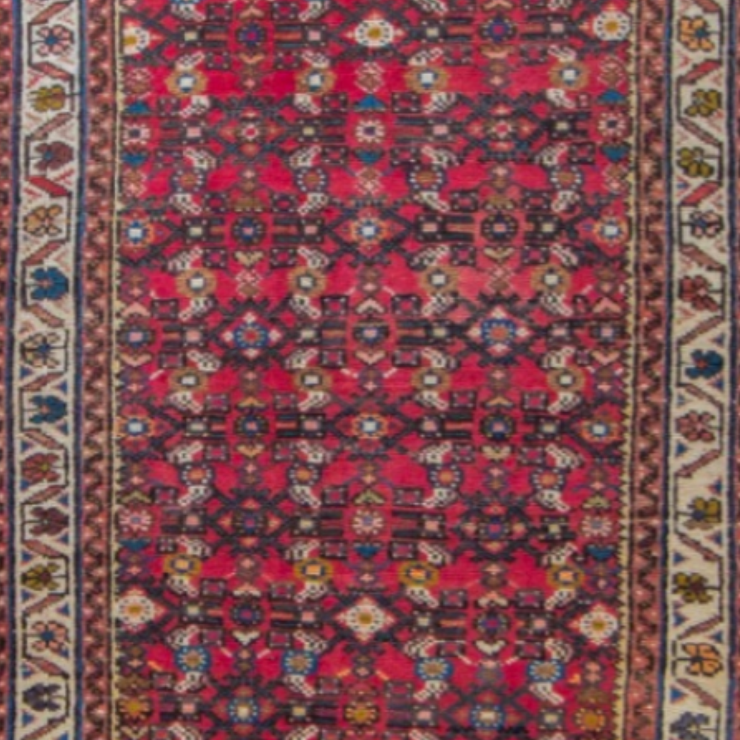 Wool Hand Knotted Runner 2'7" x 9'1"