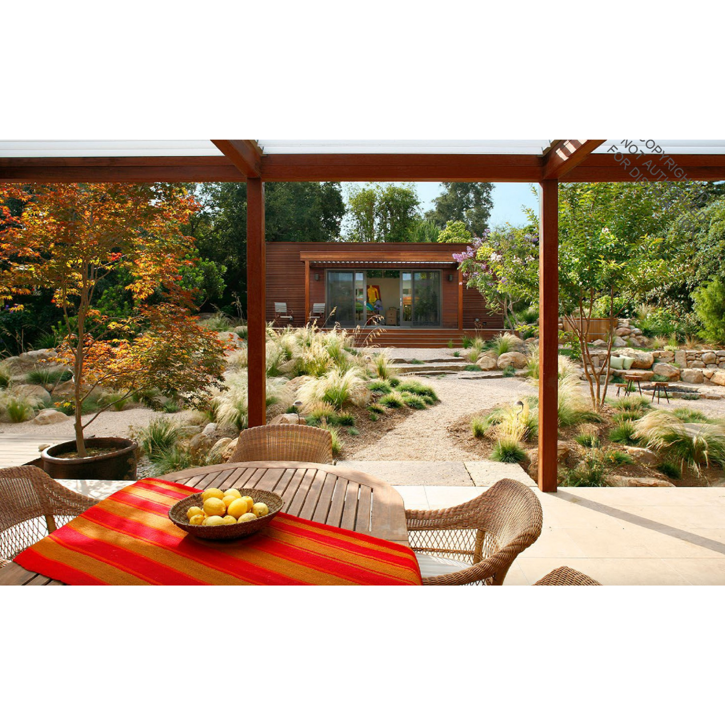 Beyond The Garden