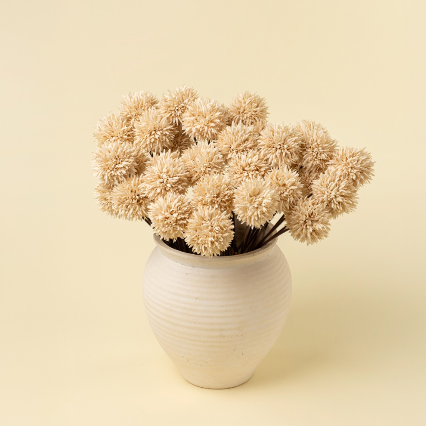 Mini Allium Bouquet, Cream