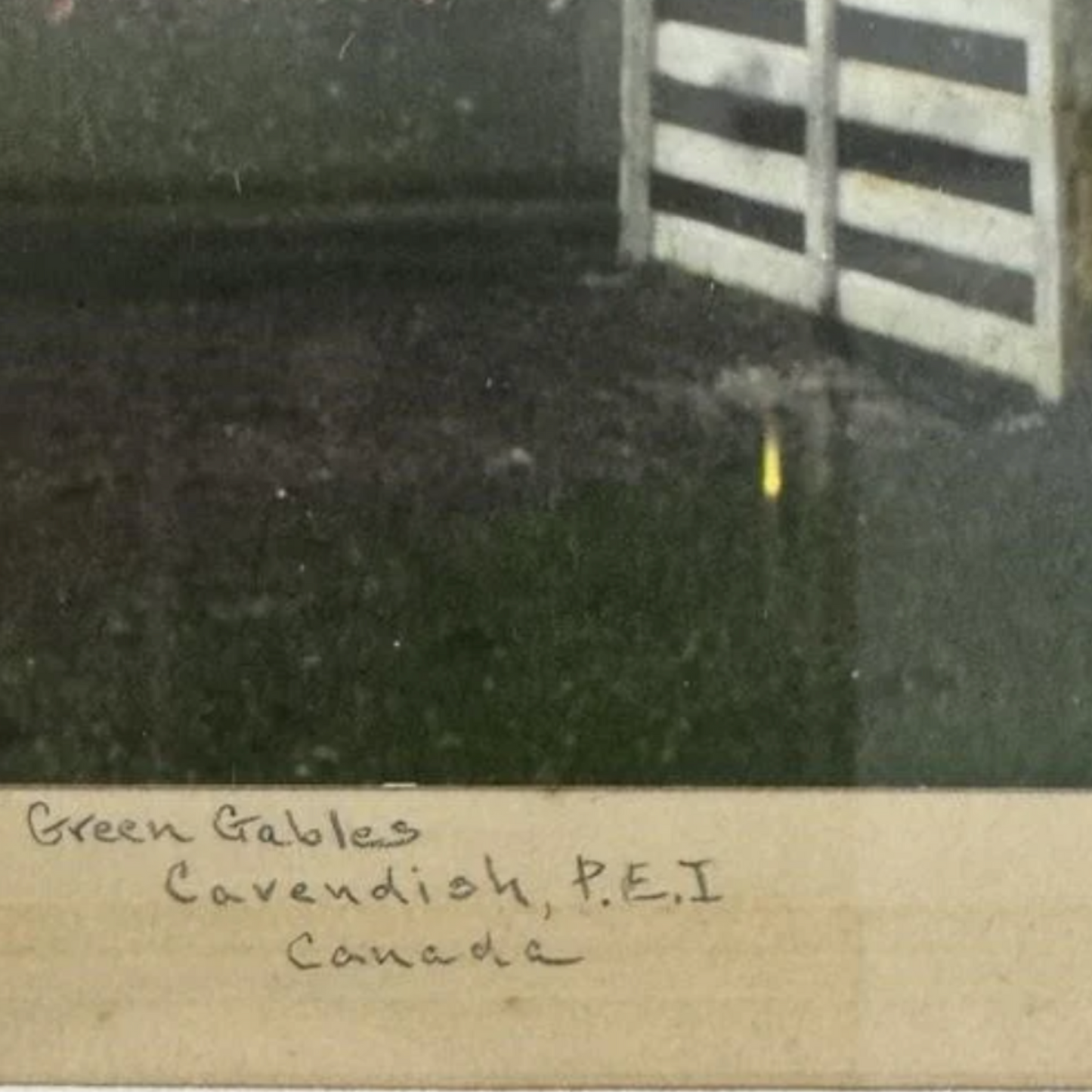 Green Gables Tinted Photo