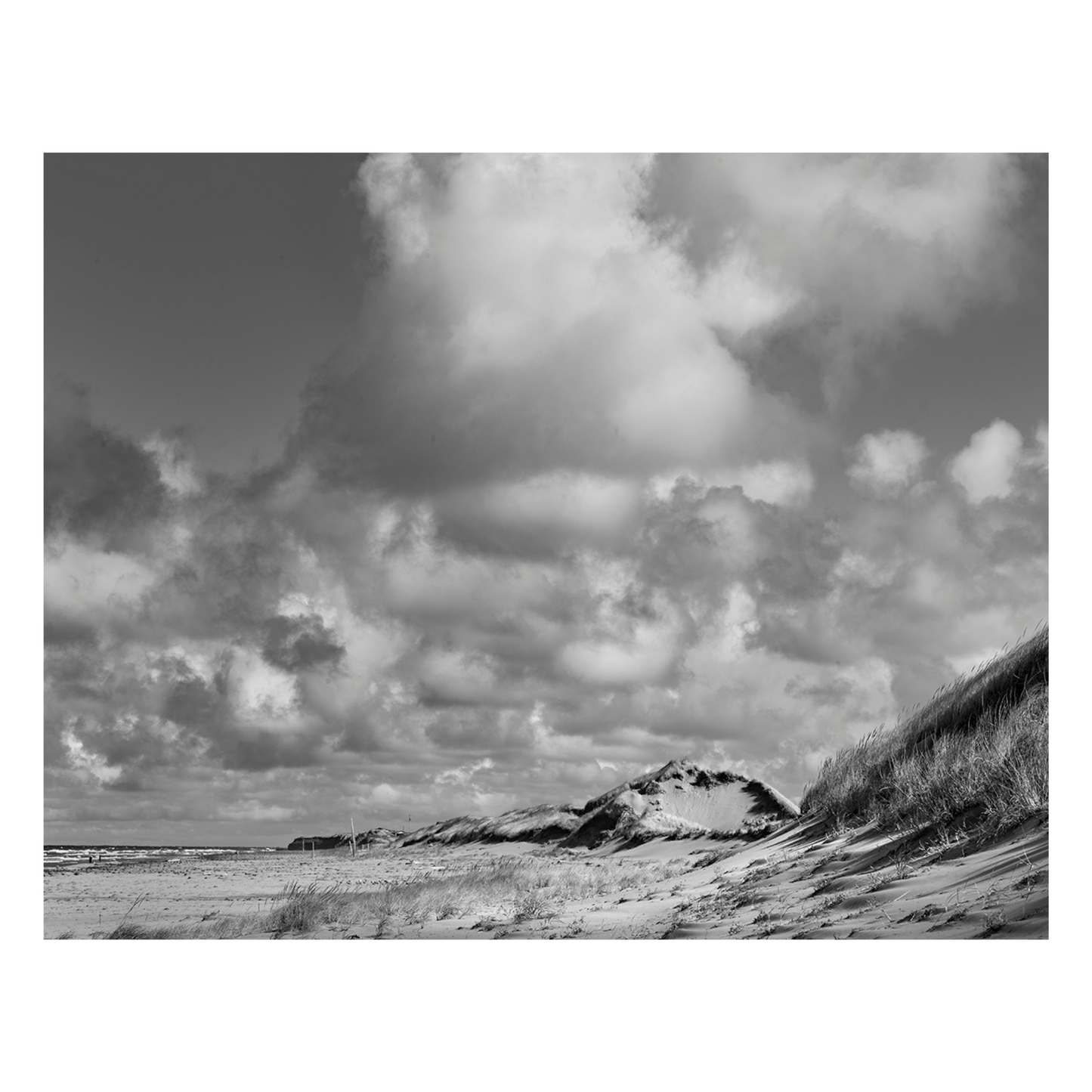 Thunder Cove  Dunes-Jack Clark Photography🇨🇦🇨🇦