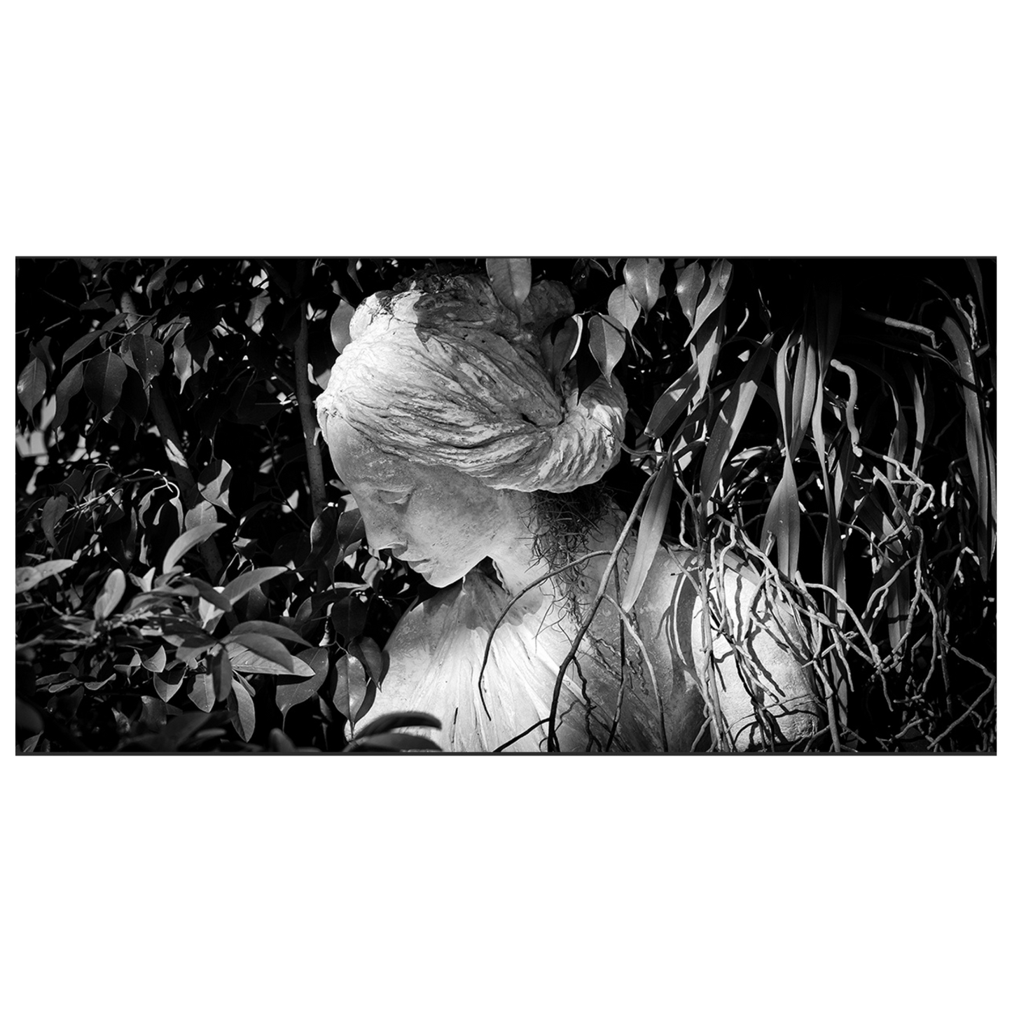 Garden Lady-Jack Clark Photography🇨🇦🇨🇦