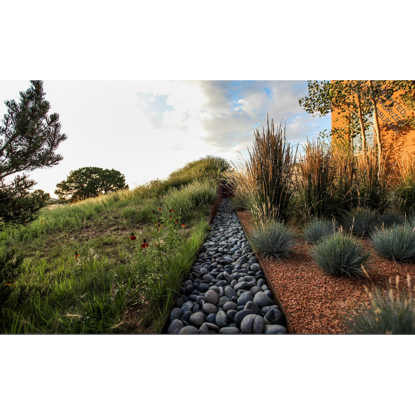 Beyond The Garden