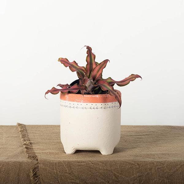 Raised Flower Pot, Small