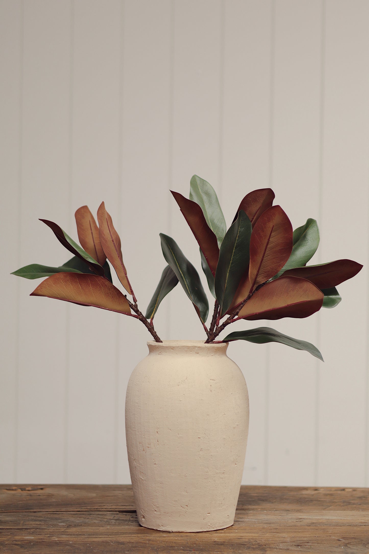 Magnolia Leaf Branch