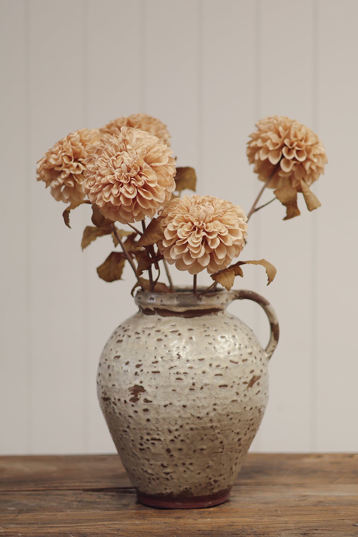 Pompon Dahlia Stem, Cream