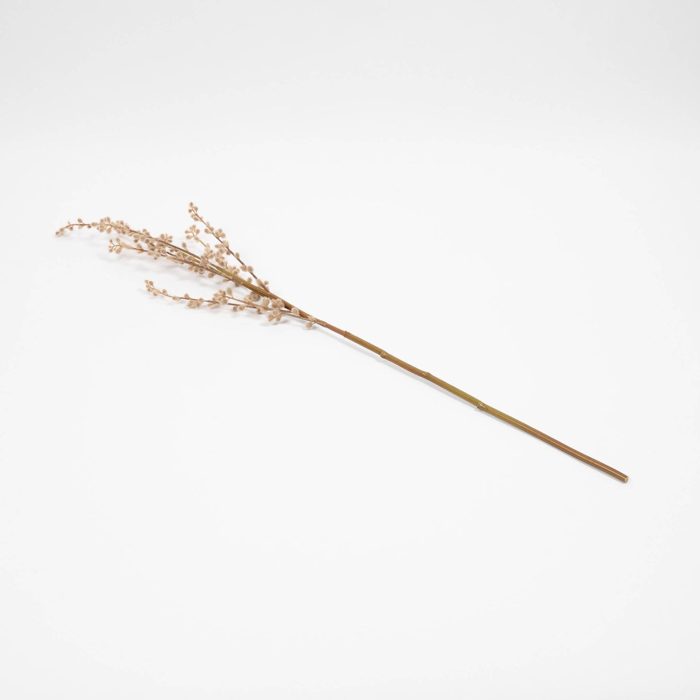 Pussy Willow Branch - 32 Inch