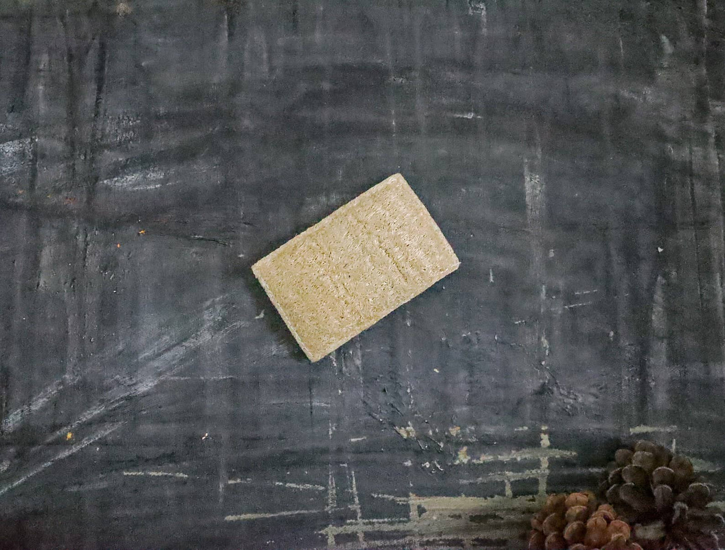 Eco Sponge🇨🇦