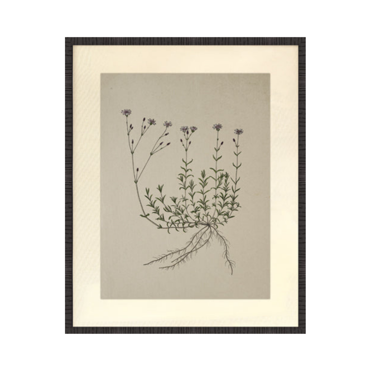 Botanical Fabric Mat Print 🇨🇦🇨🇦