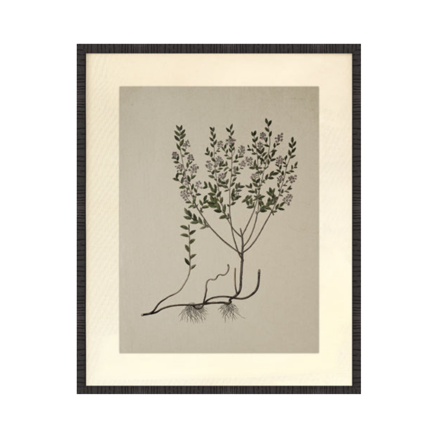 Botanical Fabric Mat Print 🇨🇦🇨🇦