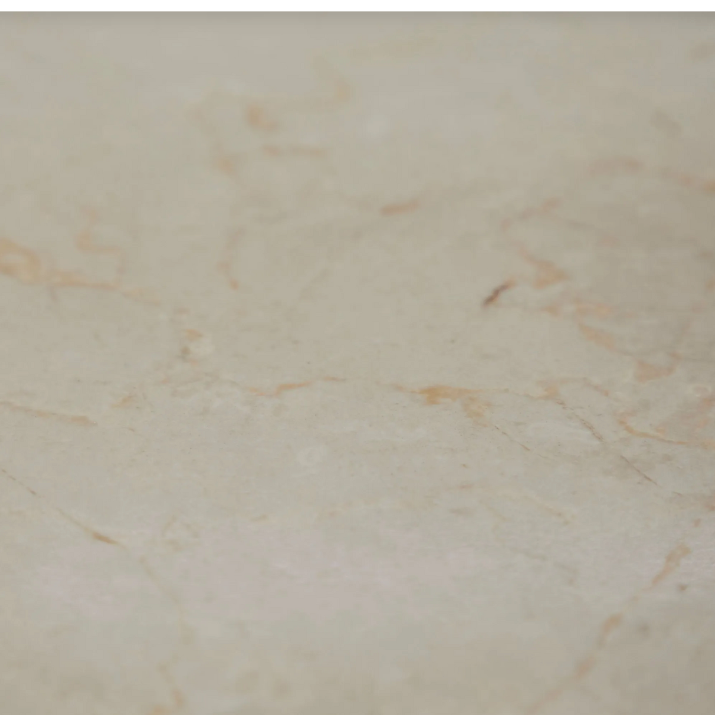 Chelsea Table🇨🇦