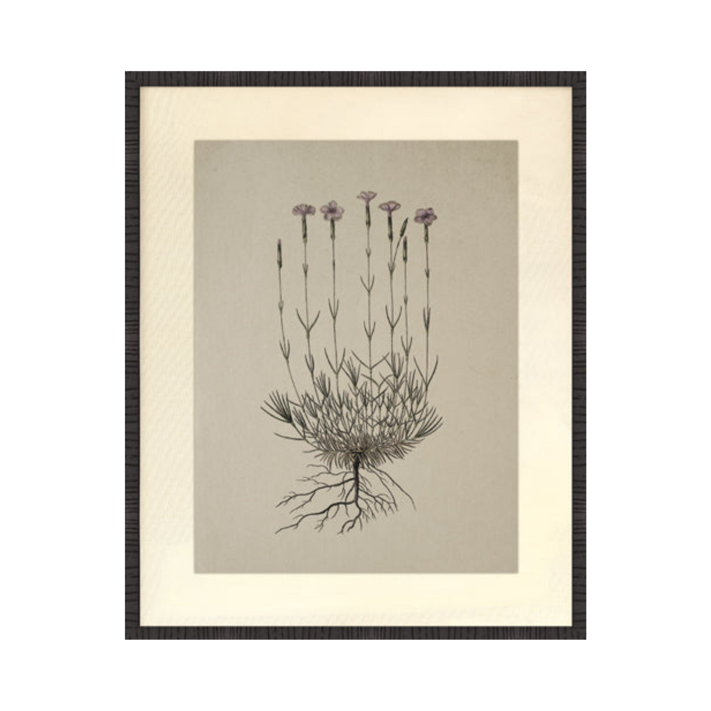 Botanical Fabric Mat Print 🇨🇦🇨🇦