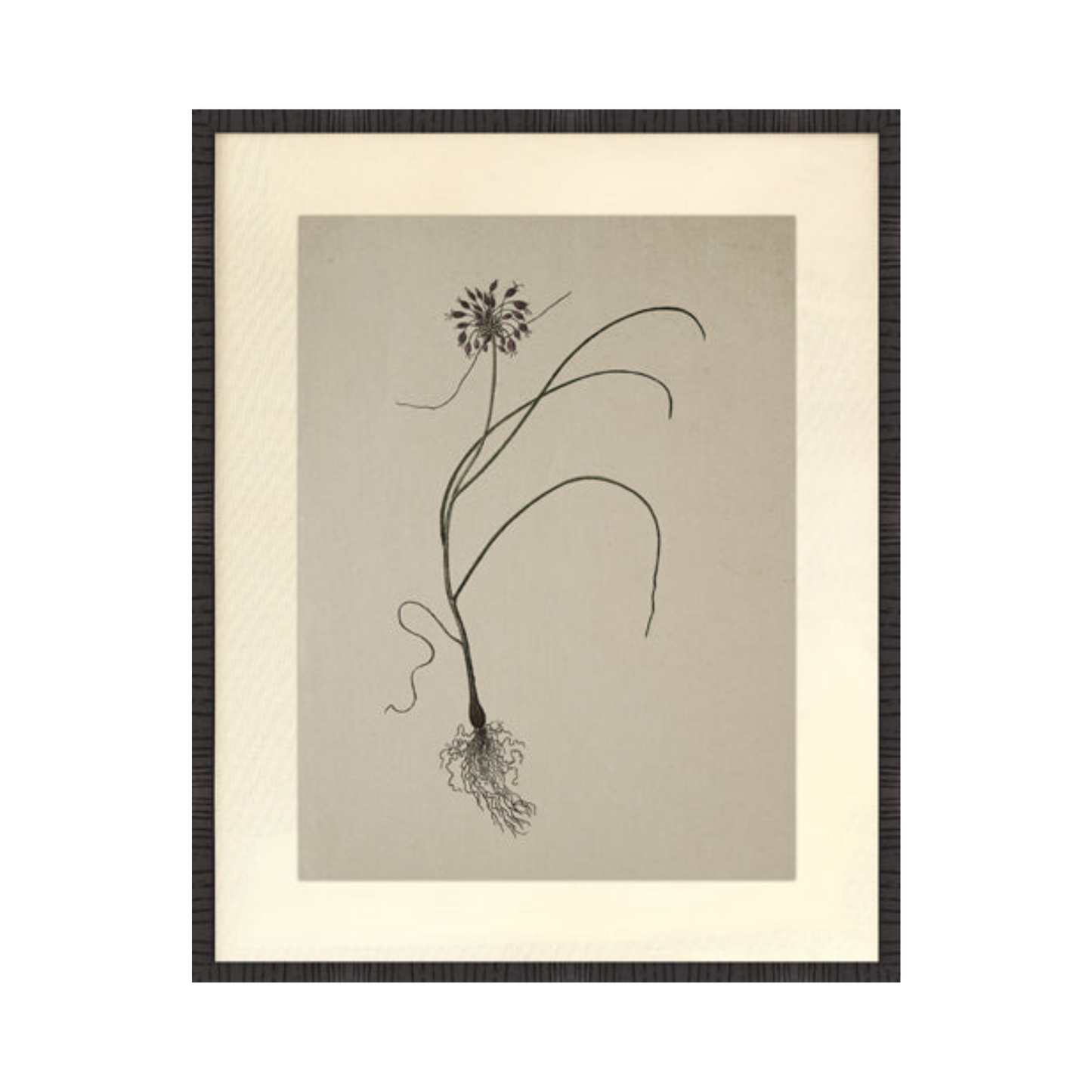 Botanical Fabric Mat Print 🇨🇦🇨🇦