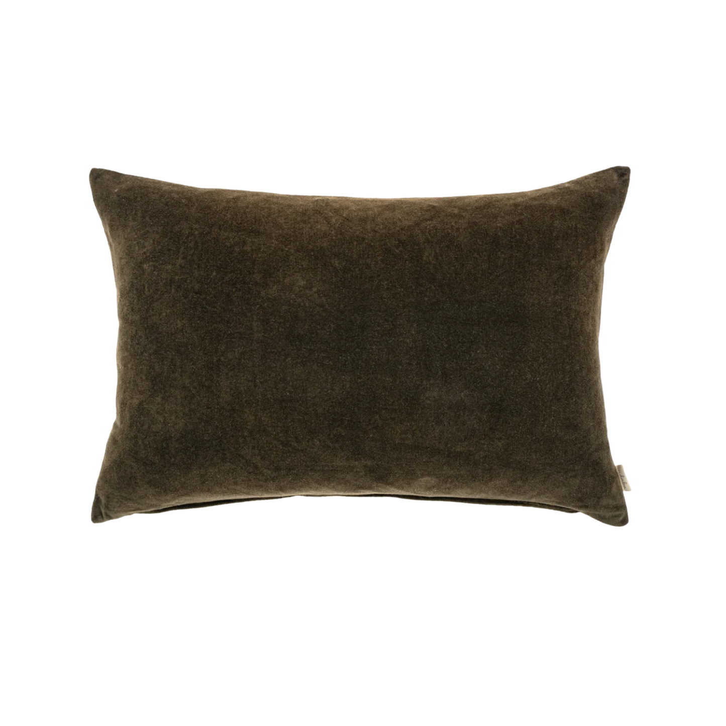Vera Velvet Pillow 16x24🇨🇦