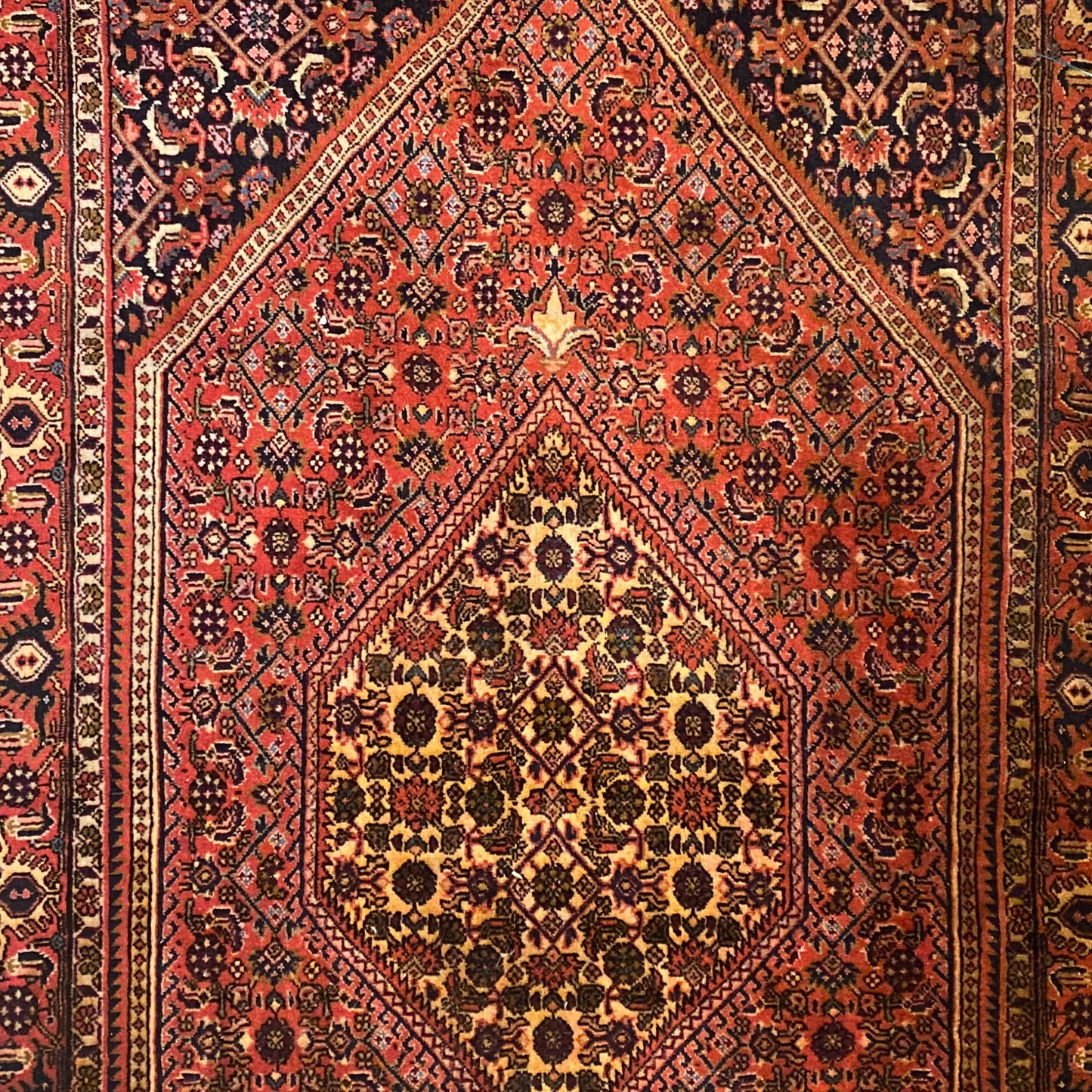 Bijar Wool Hand Knotted Rug