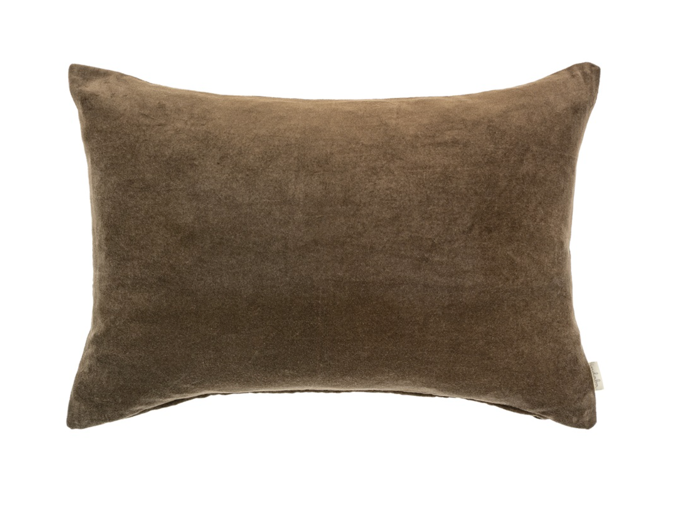 Vera Velvet Pillow 16x24🇨🇦