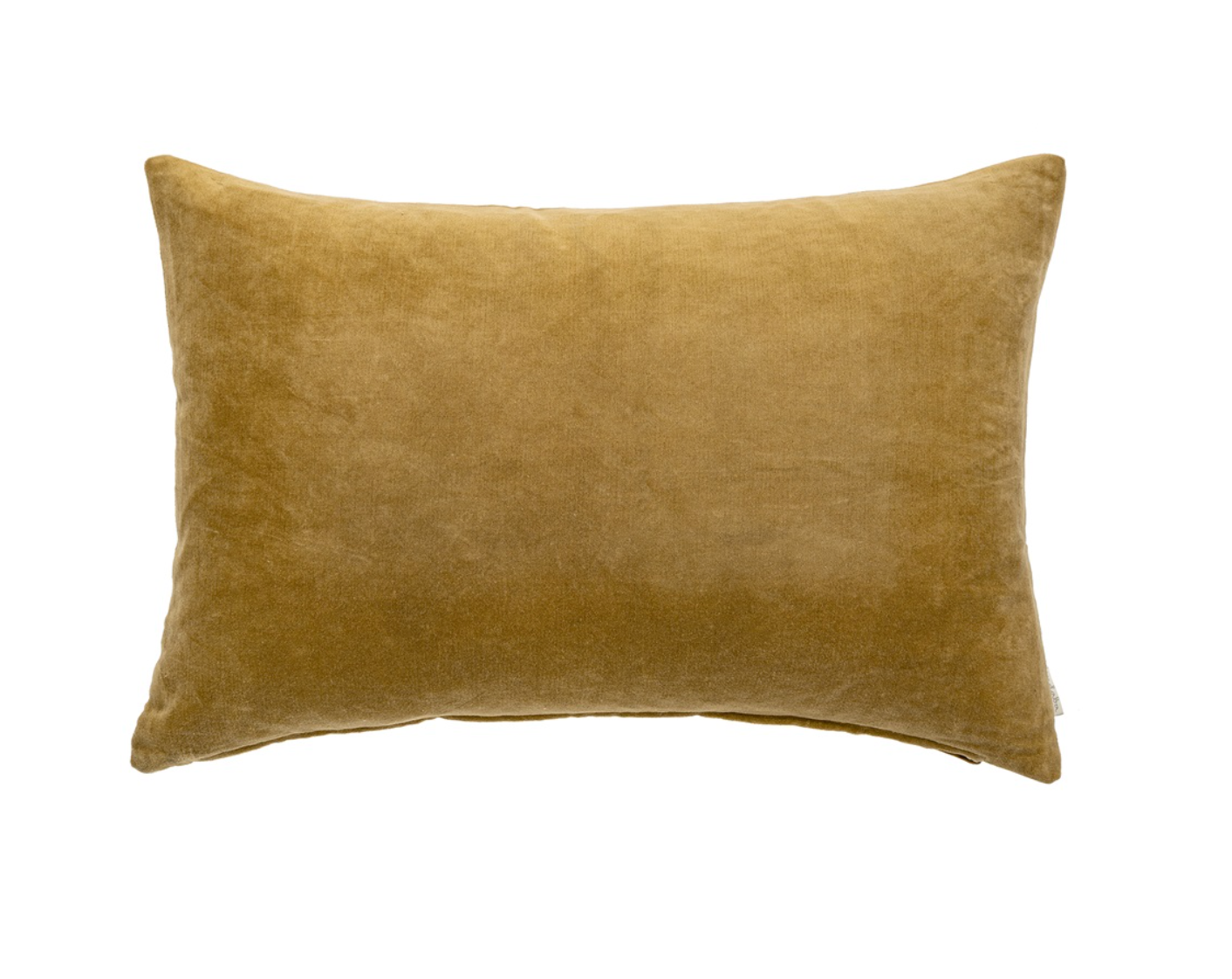 Vera Velvet Pillow 16x24🇨🇦