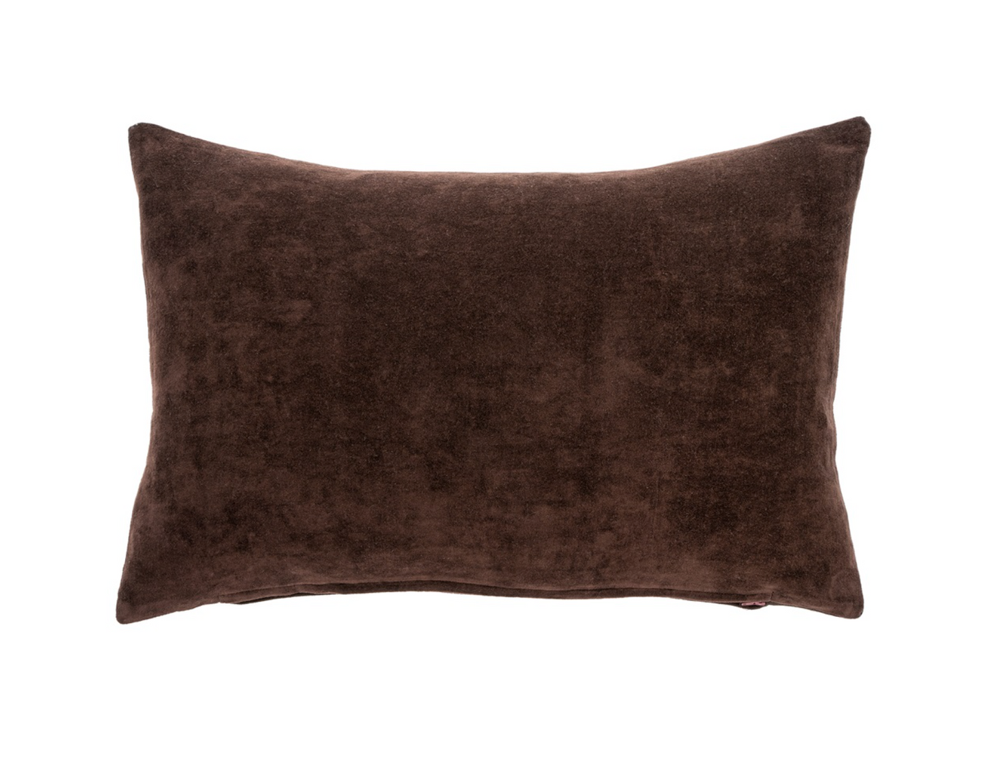 Vera Velvet Pillow 16x24🇨🇦