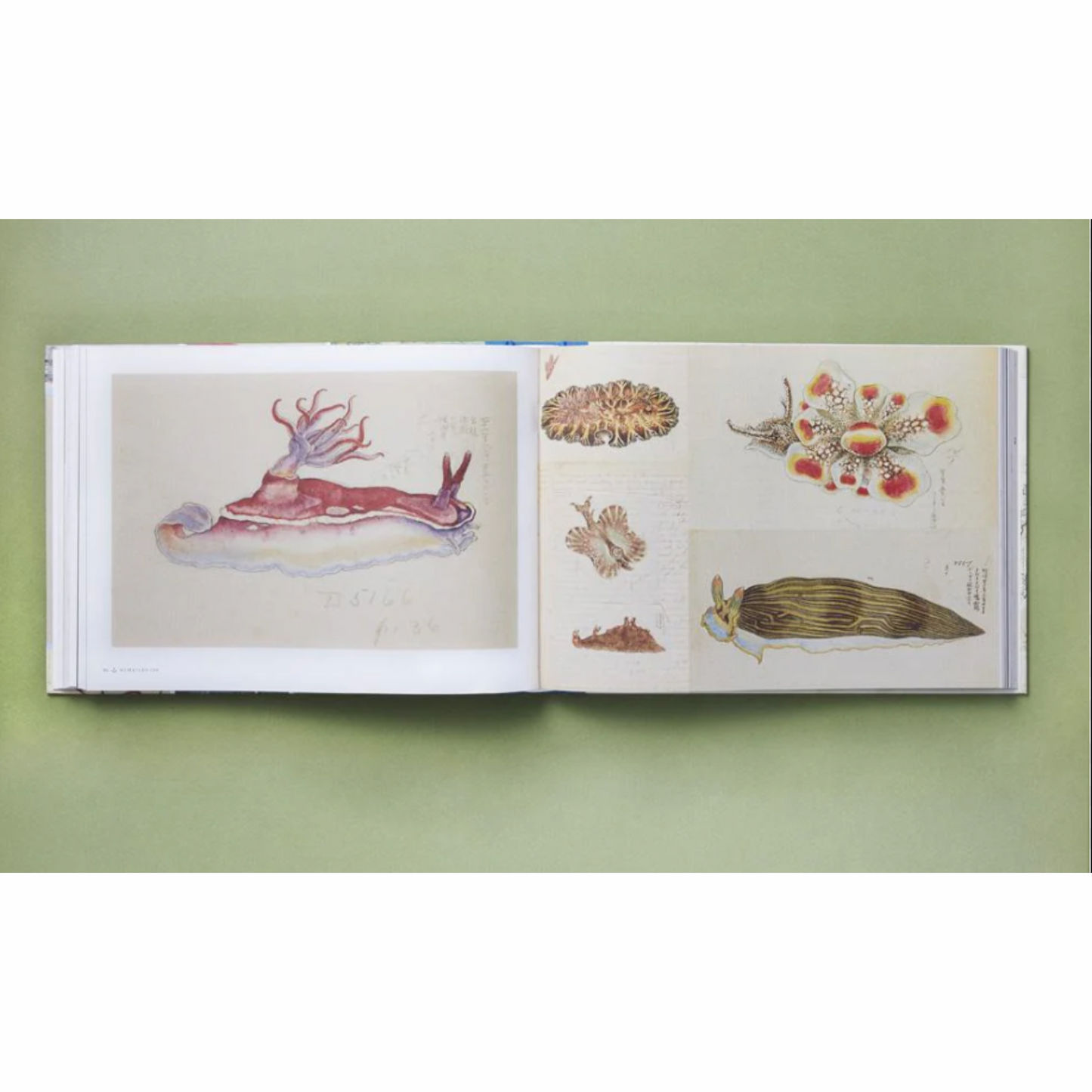 Seafarers Journal Book