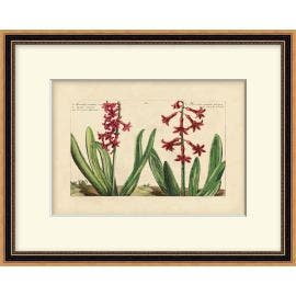 Heritage Blooms 3