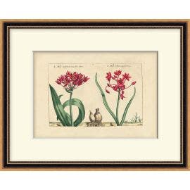 Heritage Blooms 4