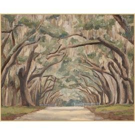 Under the Spanish Moss