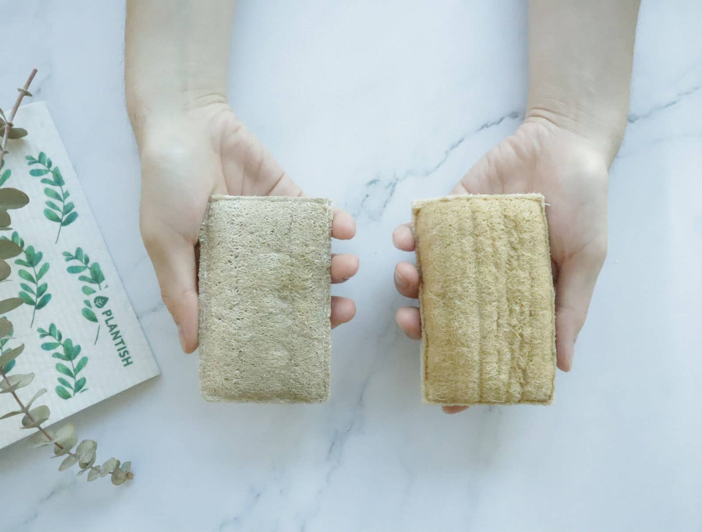 Eco Sponge🇨🇦