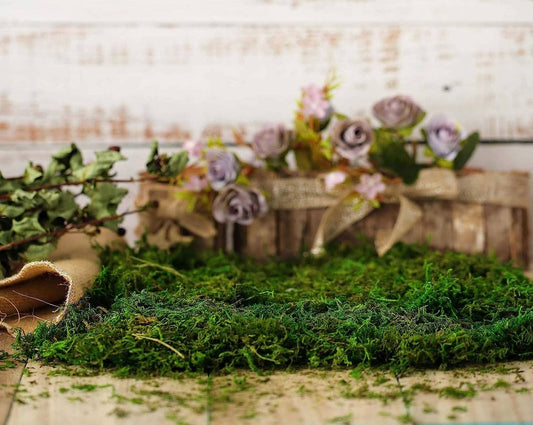 10oz or 1lb Bulk Pack-Naturally Preserved Green Moss