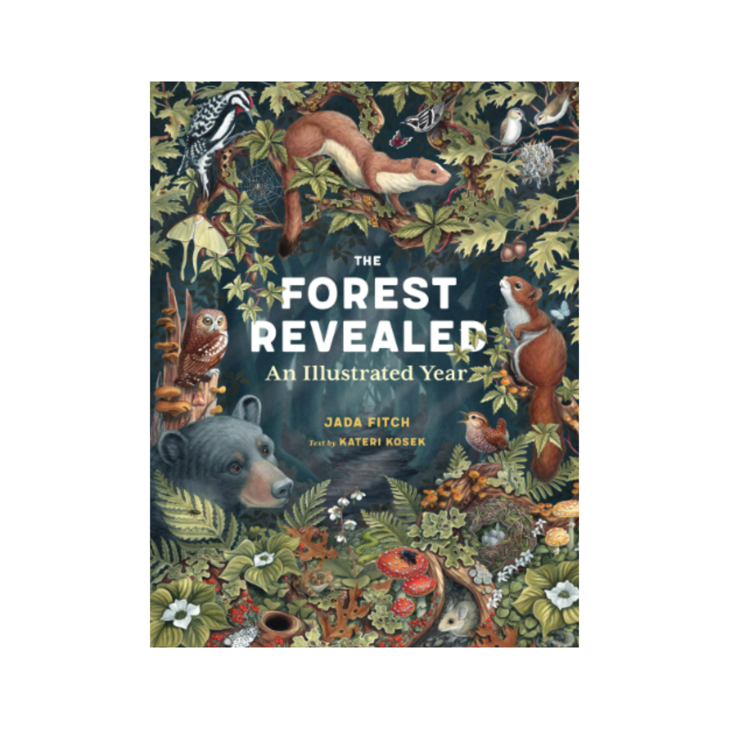 The Forest Revealed