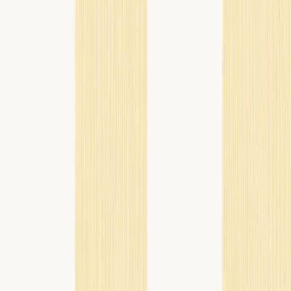 Farrow & Ball Broad Stripe Wallpaper 1307