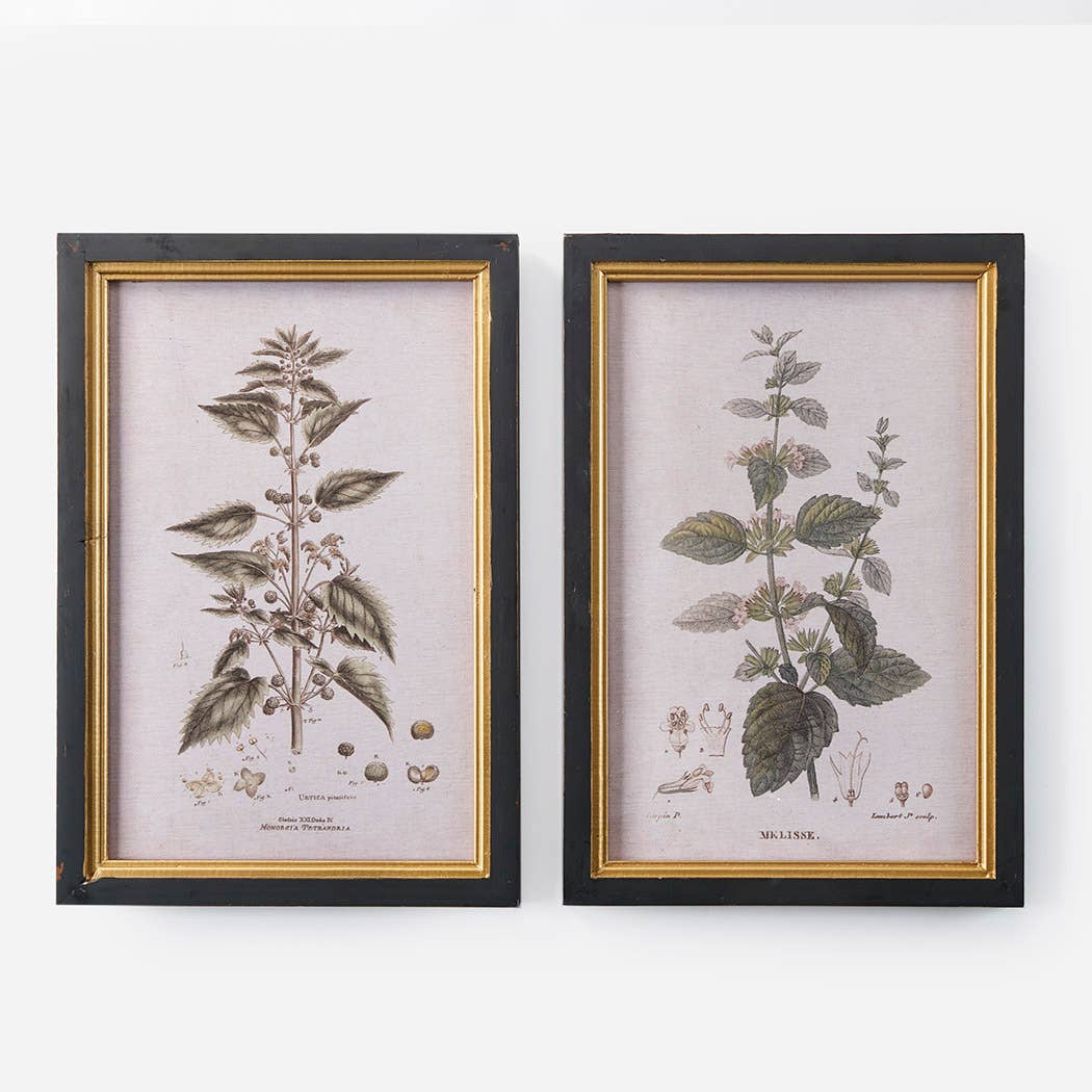 Framed Leaf Wall Print, 2 Asst.
