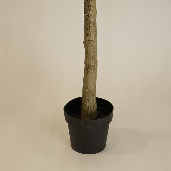 Olive Tree faux