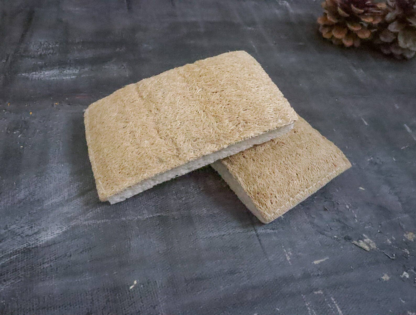 Eco Sponge🇨🇦