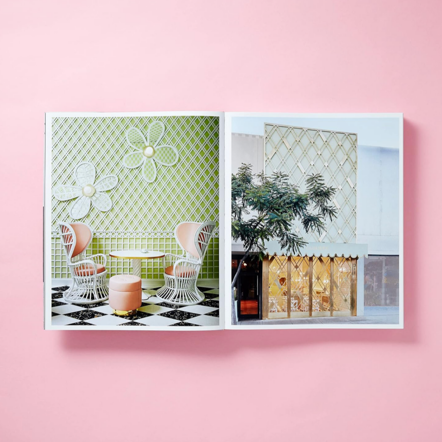 India Mahdavi Book