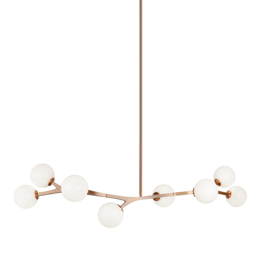 Rami Chandelier🇨🇦