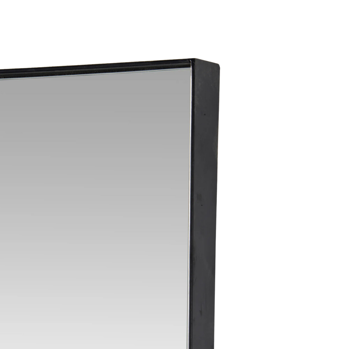 Trilo Mirror🇨🇦