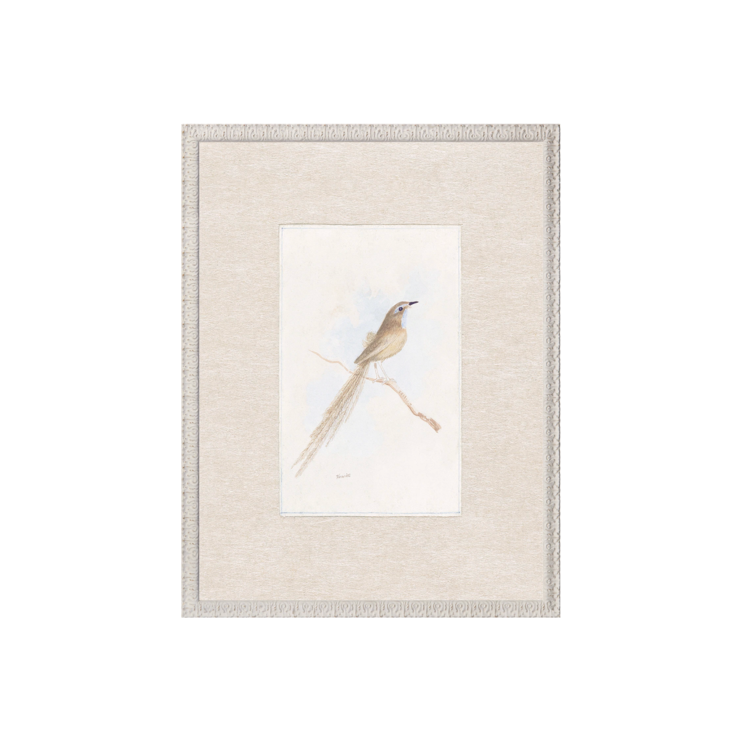 Collection 24 - Songbird C. 1847 - Small