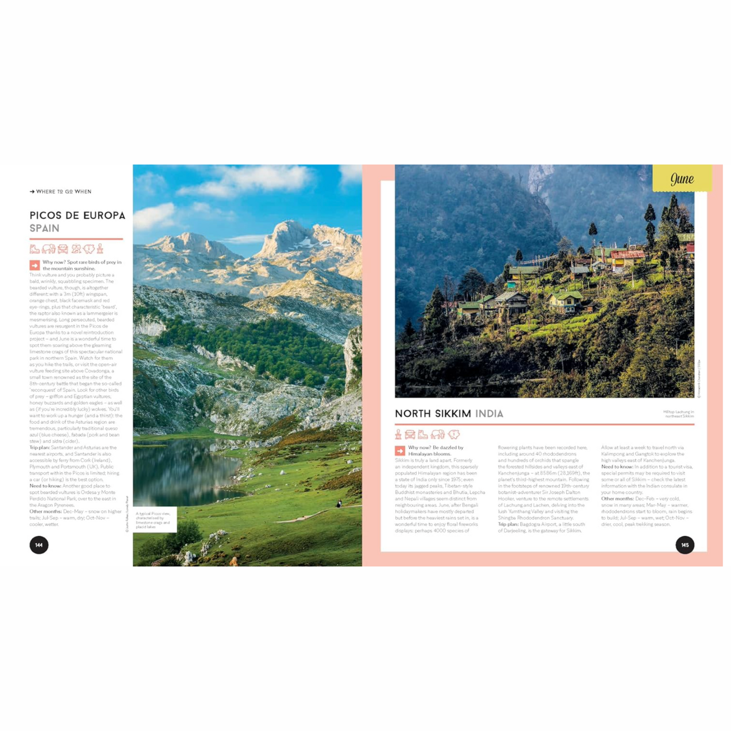 Where To Go When Book