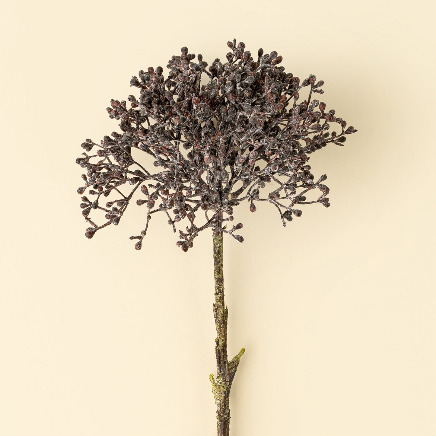 Viburnum Berry Stem, Deep Purple