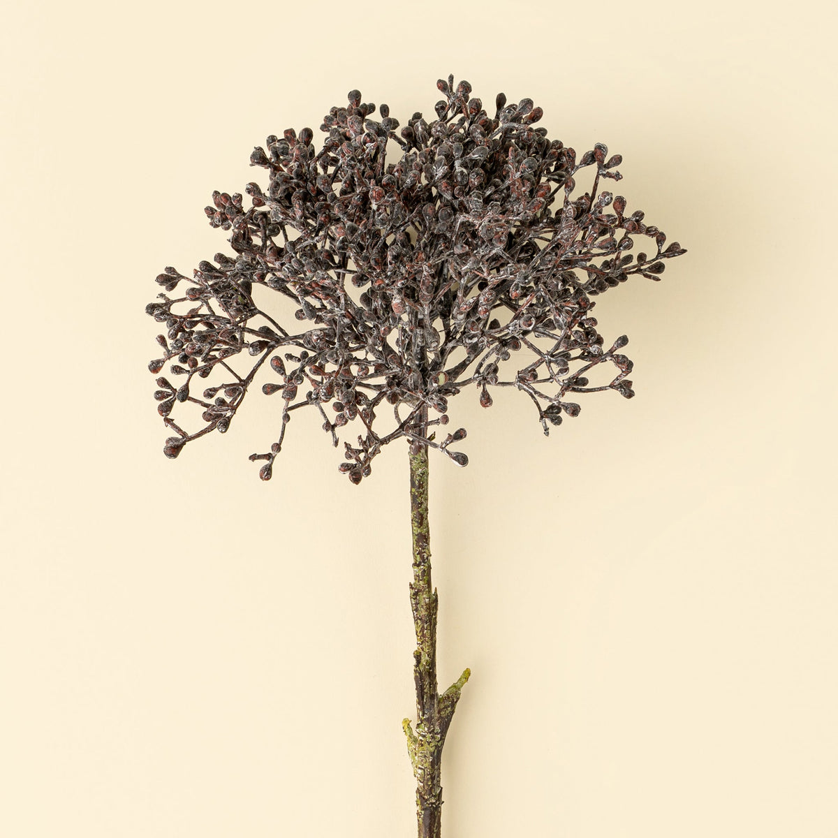 Viburnum Berry Stem, Deep Purple