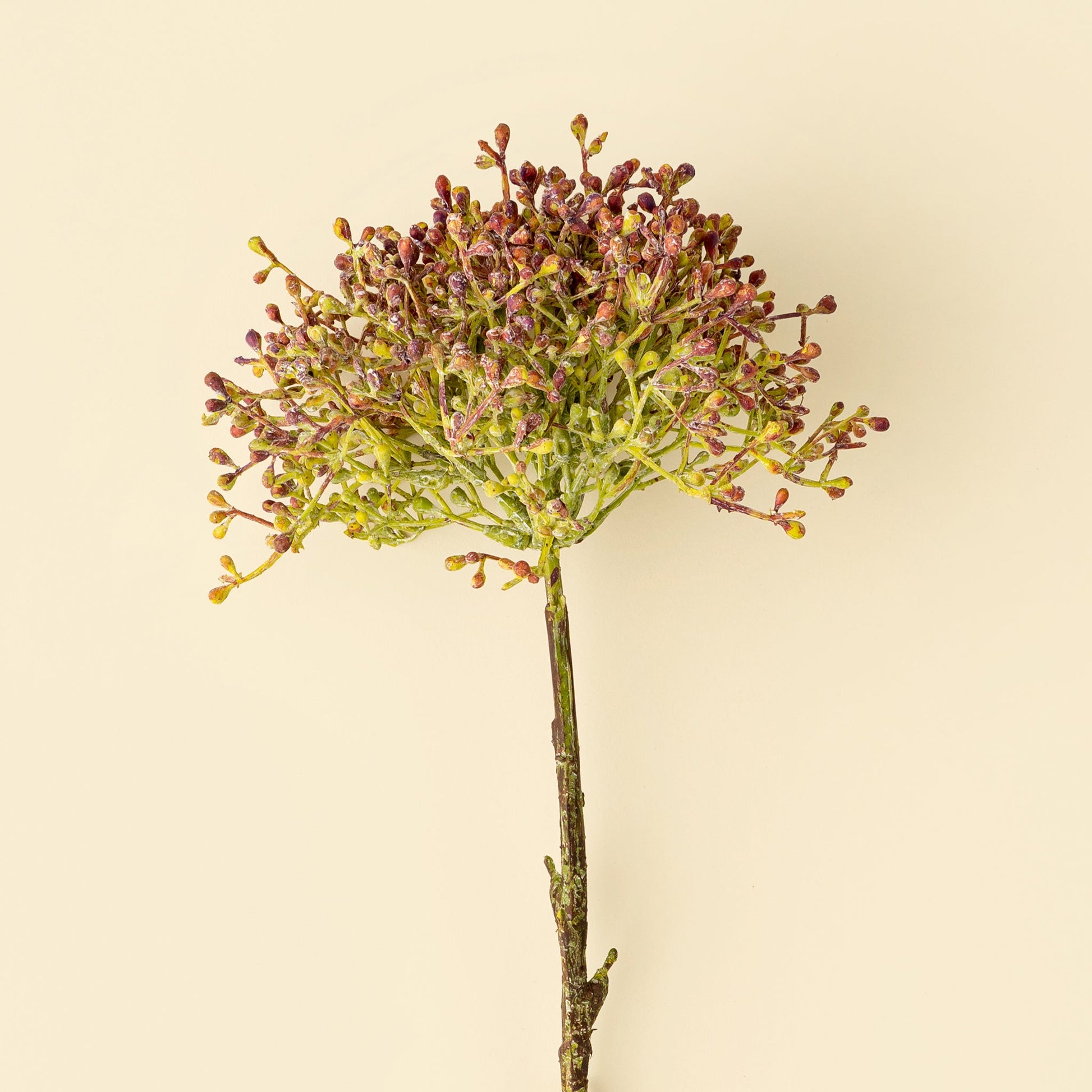 Viburnum Berry Stem, Pink