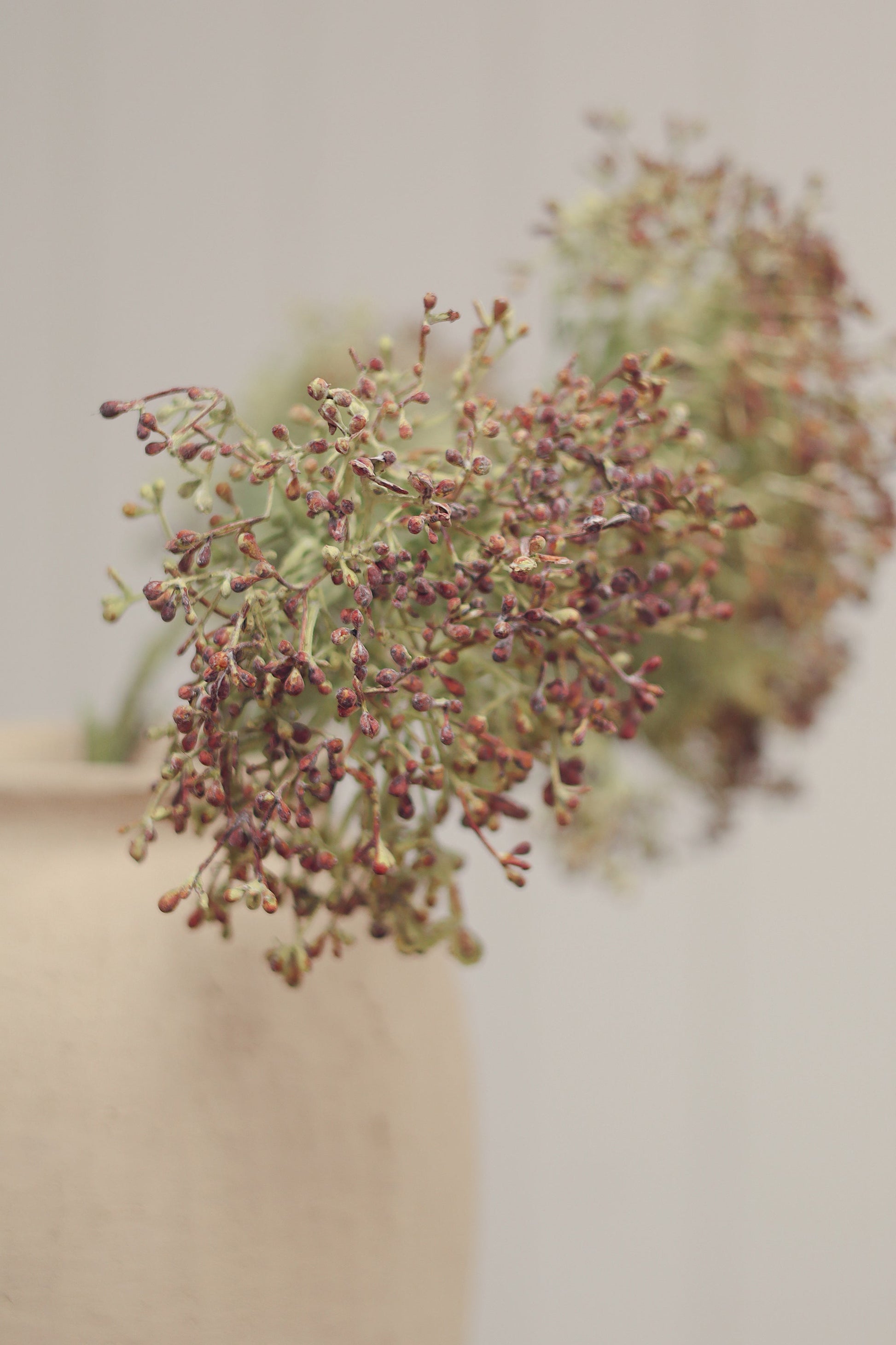Viburnum Berry Stem, Pink