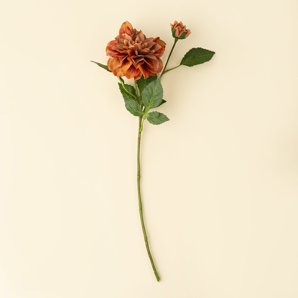 Dahlia Stem, Terracotta