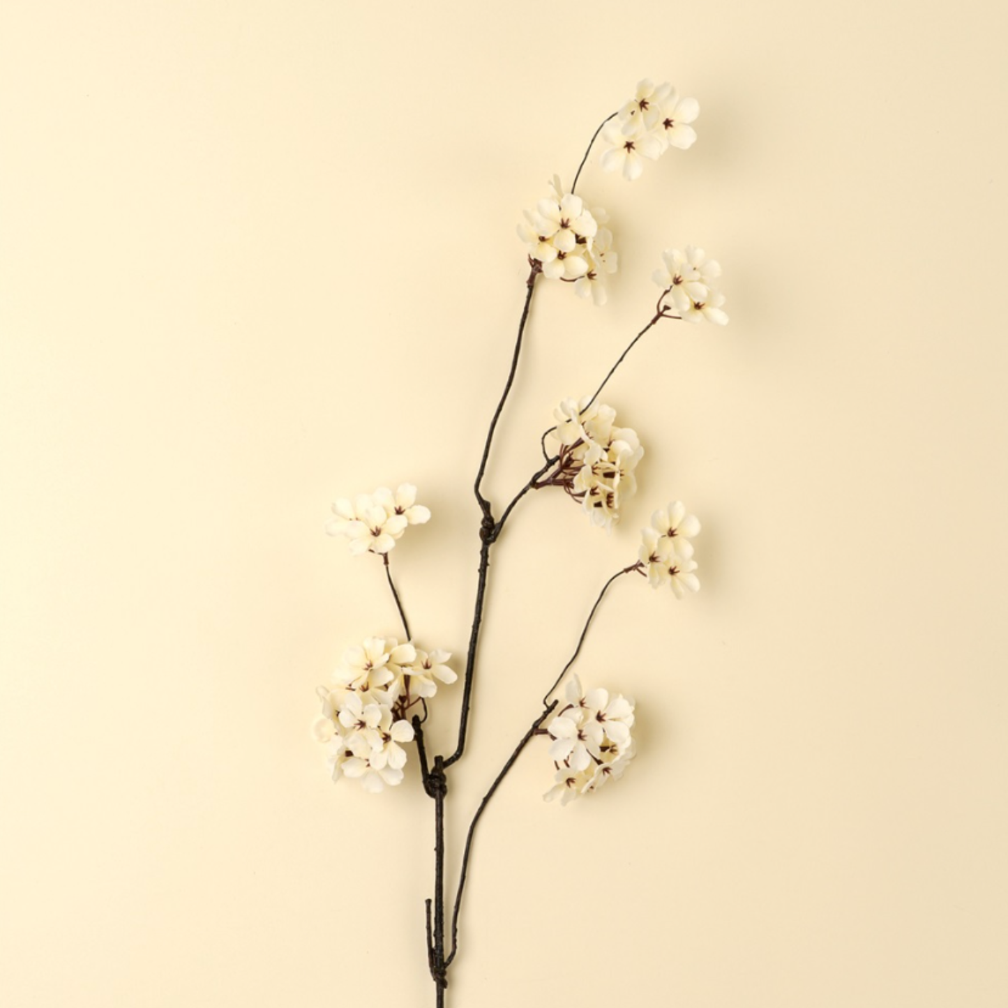 Pear Blossom Branch L