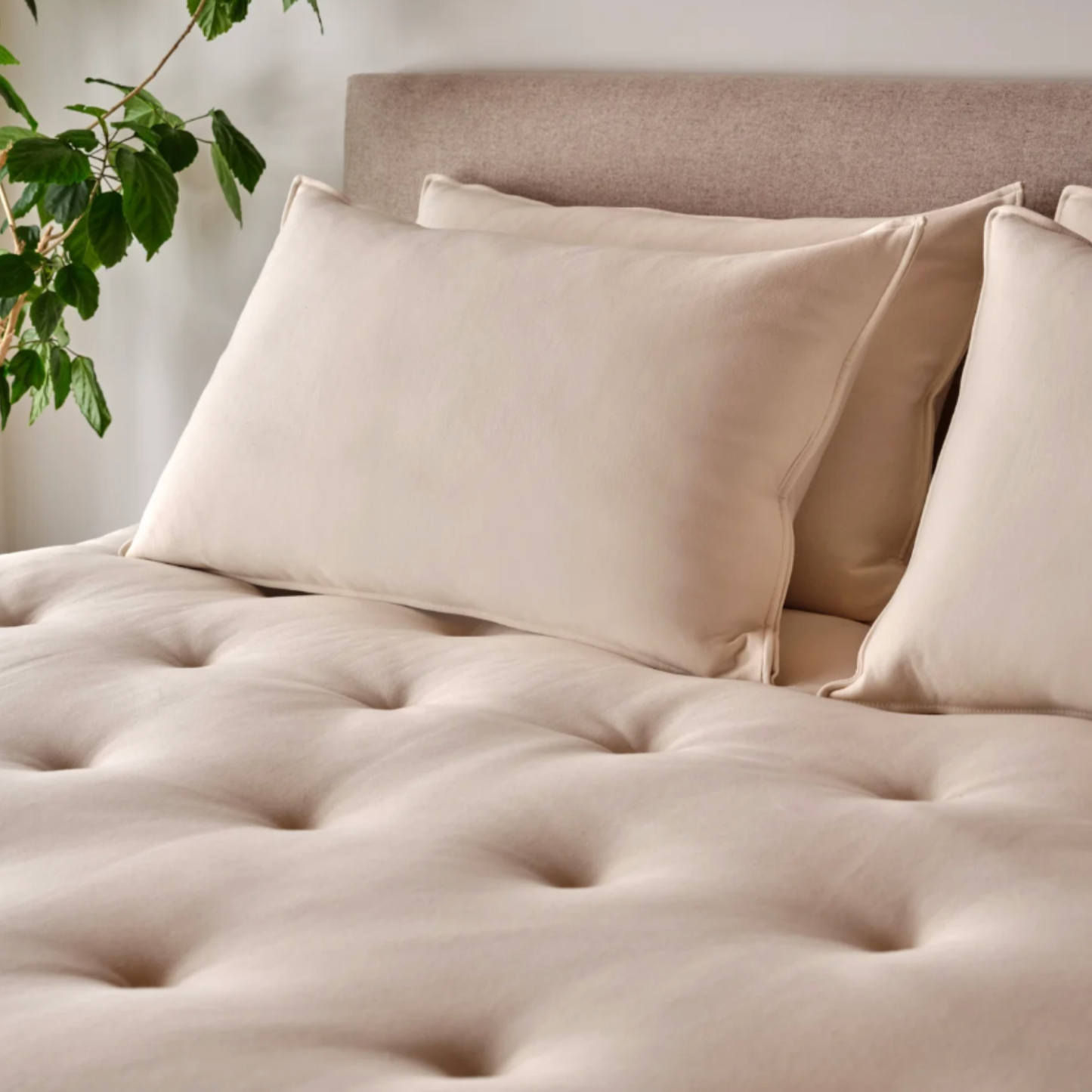 Classic Organic Wool and Latex Mattress Topper (1.5")