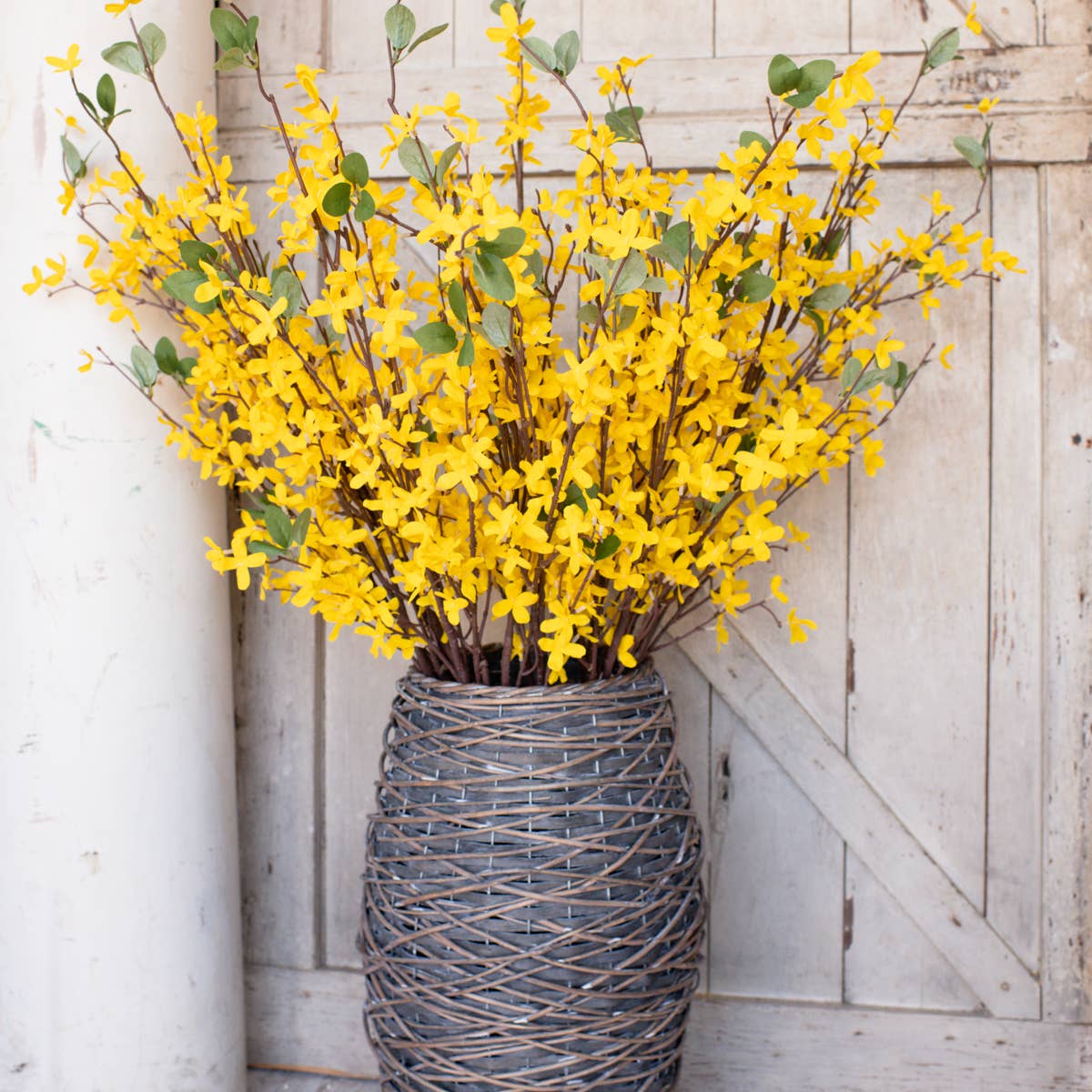 41" FORSYTHIA STEM